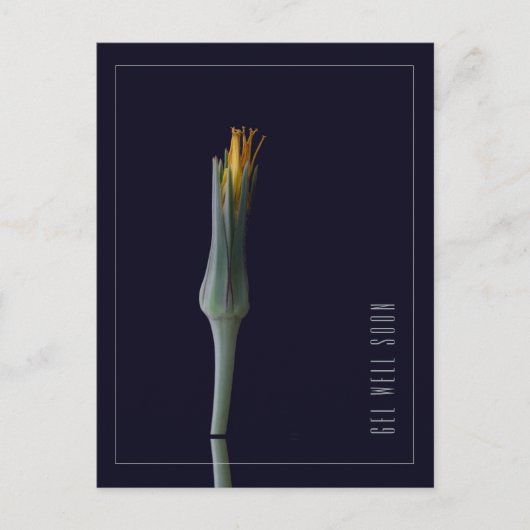 パーソナライズされたシンプルでエレガントな花の回復祝いメッセージ ポストカード (正面)