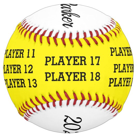 パーソナライズされたソフトボールのコーチボール ソフトボール (裏面)