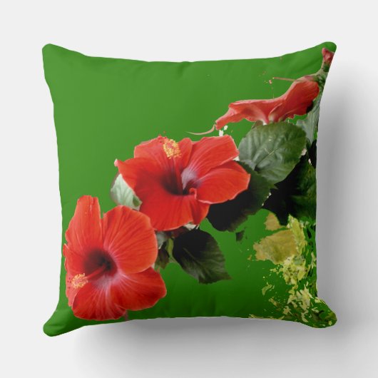 パーソナライズされたハイビスカスフラワーガーデン枕 クッション (裏面)