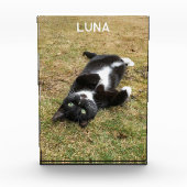 パーソナライズされたペット名モダン フォトブロック (正面)