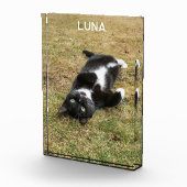 パーソナライズされたペット名モダン フォトブロック (右)