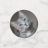 パーソナライズされたモダン写真 コンフェッティ (スモール正面)