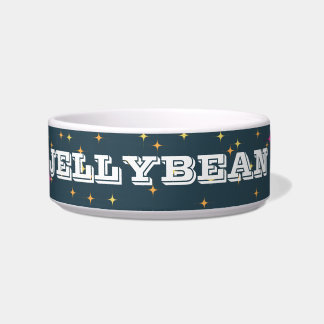 パーソナライズされたレトロペットボウル：明るくおもしろい ボウル