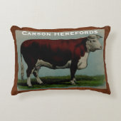 パーソナライズされたヴィンテージイラストレーション アクセントクッション (正面)