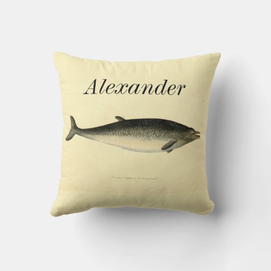 パーソナライズされたヴィンテージ航海のドルフィンの水色 クッション (裏面)