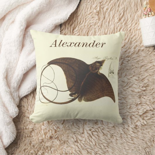 パーソナライズされたヴィンテージ航海のマンタ線の水色 クッション (ブランケット)