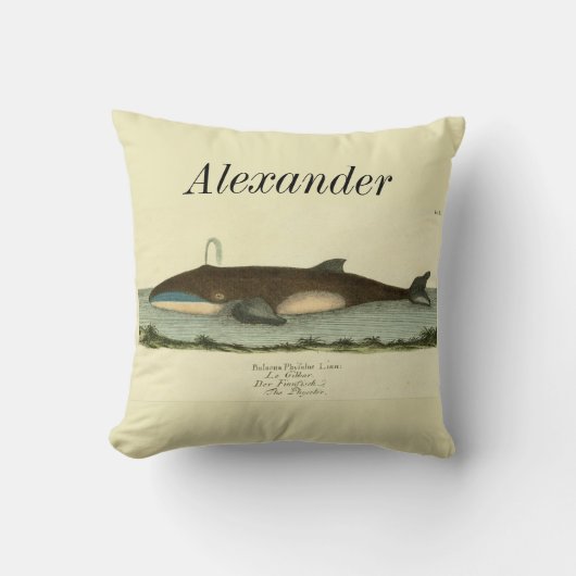 パーソナライズされたヴィンテージ航海の鯨水色 クッション (正面)
