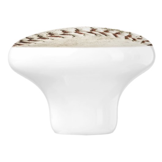 パーソナライズされたヴィンテージ野球 セラミックノブ (側面)