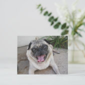 パーソナライズされた写真はがき ポストカード (スタンド正面)