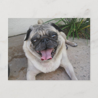 パーソナライズされた写真はがき ポストカード