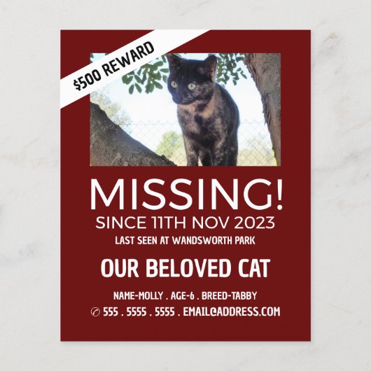 パーソナライズされた写真恋しく思撮失った影 チラシ (裏面)