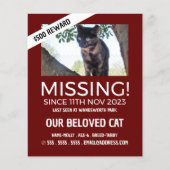 パーソナライズされた写真恋しく思撮失った影 チラシ (正面)