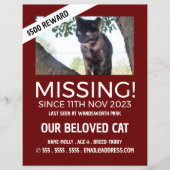 パーソナライズされた写真恋しく思撮失った影 チラシ (正面)