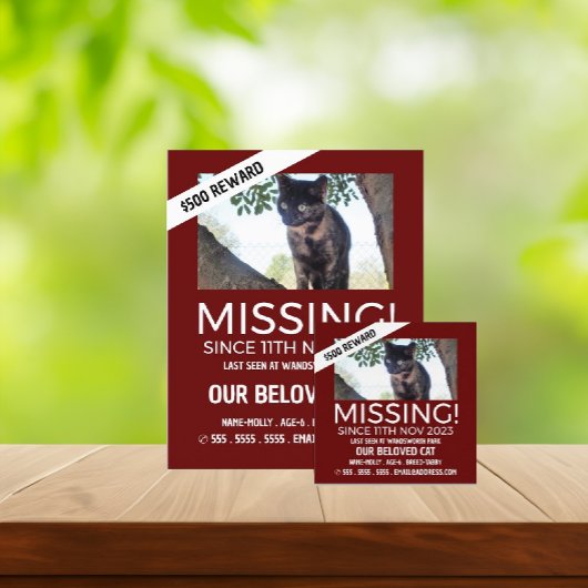 パーソナライズされた写真恋しく思撮失った影 チラシ