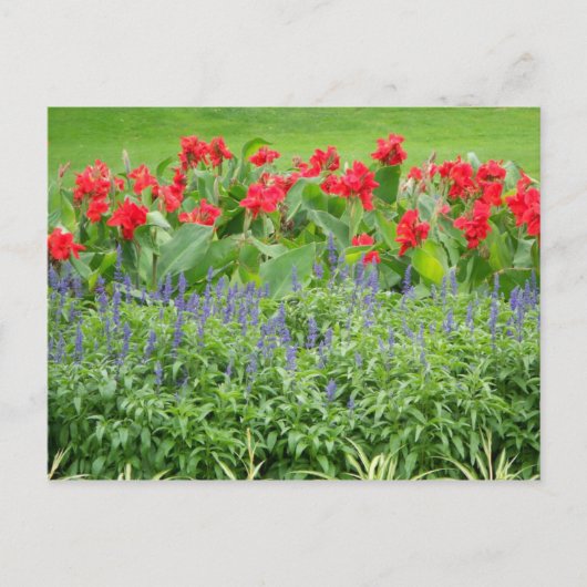 パーソナライズされた写真 ポストカード (正面)