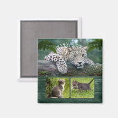 パーソナライズされた大きな猫あなたの動物の写真マグネット マグネット (正面/裏面)