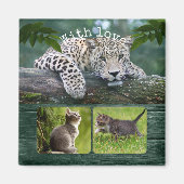 パーソナライズされた大きな猫あなたの動物の写真マグネット マグネット (正面)