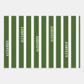 パーソナライズされた恐竜の白と緑の子供 ラッピングペーパーシート (正面3)