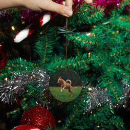 パーソナライズされた愛犬の猫記念カスタム碑 セラミックオーナメント