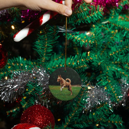 パーソナライズされた愛犬の猫記念カスタム碑 セラミックオーナメント