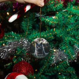 パーソナライズされた愛犬の猫記念カスタム碑 セラミックオーナメント