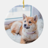 パーソナライズされた愛犬の猫記念カスタム碑 セラミックオーナメント (裏面)