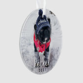 パーソナライズされた犬の子犬の休日 オーナメント (正面)