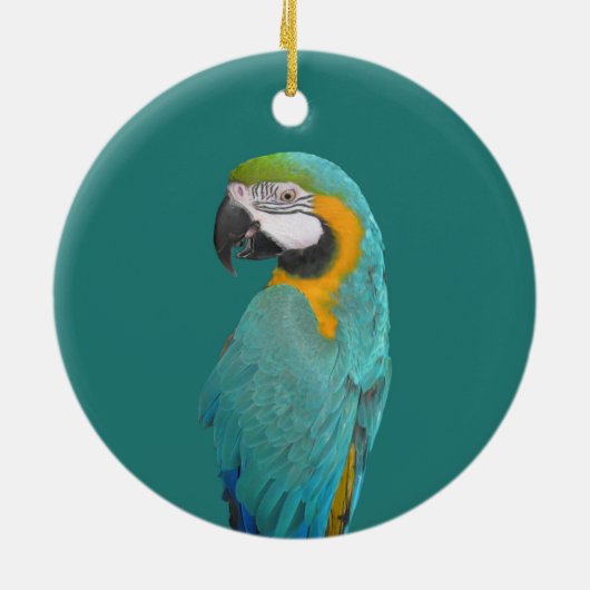 パーソナライズされた青と金ゴールドのMacawポートレート セラミックオーナメント (裏面)