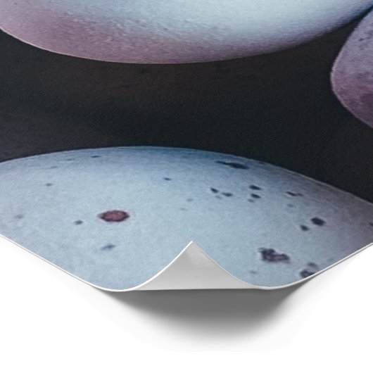 パーソナライズされた/ミニマリスト/ハッピーイースター ポスター (角)