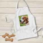 パーソナライズされたBeagle Dog Photo and Dog Name スタンダードエプロン<br><div class="desc">Beagle Dog Photo and Dog Nameパーソナライズされたデザインカスタマイズ – この記念は、あなたのBeagleの写真をアップロードした犬の名前や自分の文字を追加した – 私たちは"犬の名前"、犬の誕生日や過ぎ去りの日が大好き。単クリックにカスタマイズ文字を追加するにはパーソナライズされた、フォントと色を変更し、独自の特別な写真を追加する。ビーグル愛好家、子供、両親、祖父母 – 誰もがZazzleのColorfulGalShopによって設計されたこの優れた犬の記念品を感謝する。下のロクリックゴと他のビーグルと犬のアイテムを参照して下さい。</div>