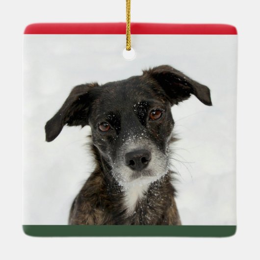 パーソナライズされたDog最高のまたはPuppy Photo写真名 セラミックオーナメント (裏面)