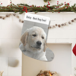 パーソナライズされたGolden Retriever Dogの写真と名前 スモールクリスマスストッキング
