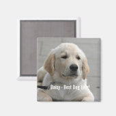 パーソナライズされたGolden Retriever Dogの写真と名前 マグネット (正面/裏面)
