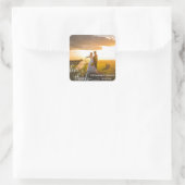 パーソナライズされたLOVE & 感謝していWhite Script |写真 スクエアシール (バッグ)