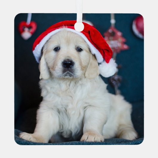 パーソナライズされたPhoto Dogの初めてのクリスマス メタルオーナメント (裏面)