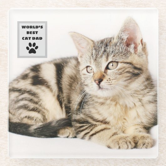 パーソナライズされたWorld's Cat最高のパパカスタム写真 ガラスコースター (正面)