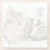 パーソナライズされたWorld's Cat最高のパパカスタム写真 ガラスコースター (裏面)