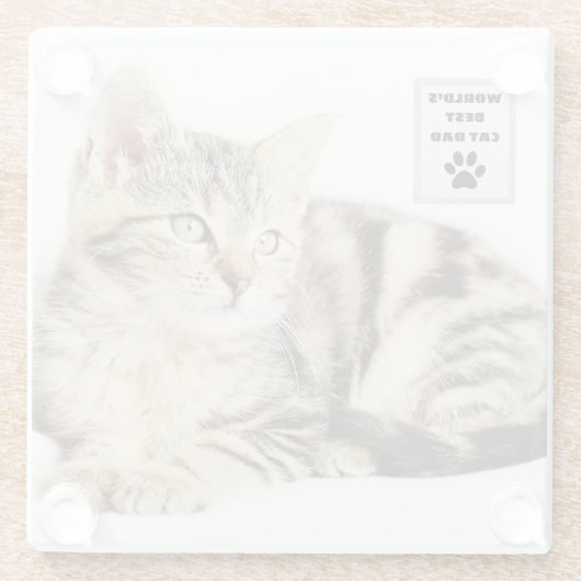 パーソナライズされたWorld's Cat最高のパパカスタム写真 ガラスコースター (裏面)