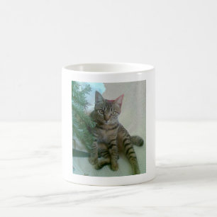 パーソナライズでかわいい猫のマグ コーヒーマグカップ