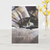 パーソナライズでかわいく居心地のよい睡眠猫の挨拶状 カード (黄色い花)