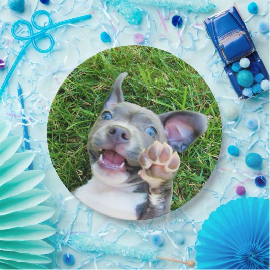 パーソナライズでカスタムな写真の小犬の誕生会 ペーパープレート (パーティー)