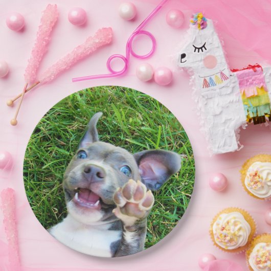 パーソナライズでカスタムな写真の小犬の誕生会 ペーパープレート (パーティー)