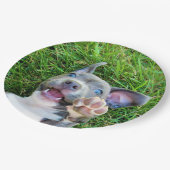 パーソナライズでカスタムな写真の小犬の誕生会 ペーパープレート (アングル)