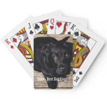 パーソナライズで黒い実験室犬の写真および犬の名前