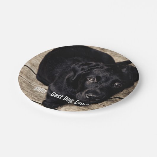 パーソナライズで黒い実験室犬の写真および犬の名前 ペーパープレート (アングル)