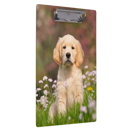 パーソナライズなかわいいゴールデン・リトリーバー犬の子犬の写真 クリップボード (右)