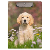 パーソナライズなかわいいゴールデン・リトリーバー犬の子犬の写真 クリップボード (正面)