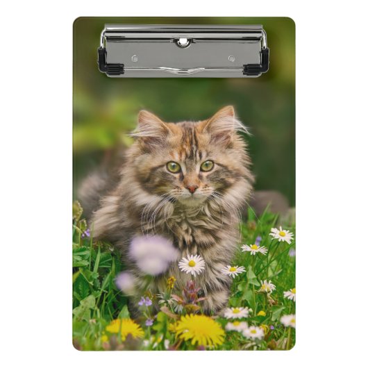 パーソナライズなかわいいメインのあらいぐまの子ネコ猫の花- ミニクリップボード (正面)