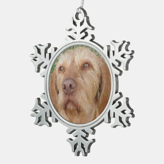 パーソナライズなクリスマスのVizslaペット写真 スノーフレークピューターオーナメント (右)