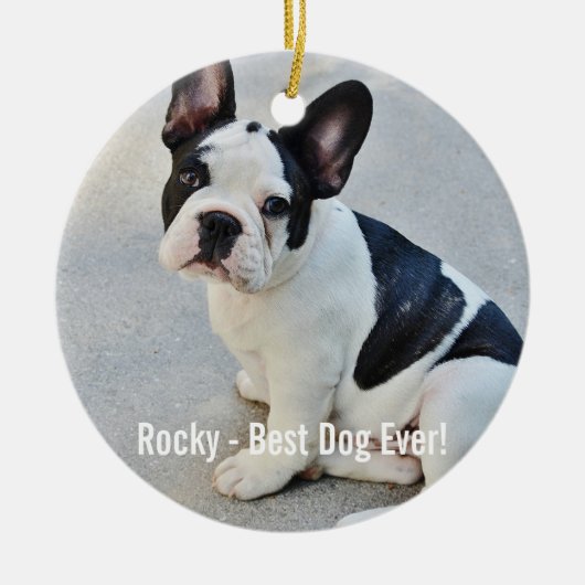 パーソナライズなブルドッグの写真およびブルドッグの名前 セラミックオーナメント (正面)